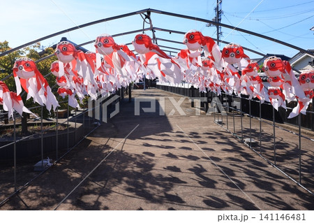 柳井 金魚ちょうちん祭り3101 柳井 金魚ちょうちん祭り3101 141146481