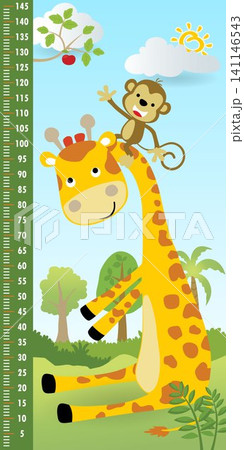 Height measurement wall with funny monkey climbing giraffe's neck to pick a fruit in forest, vector cartoon illustration Height measurement wall with funny monkey climbing giraffe's neck to pick a fruit in forest, vector cartoon illustration 141146543