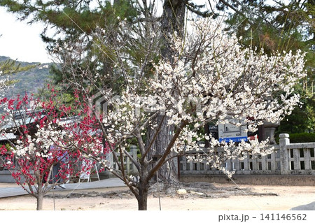 松陰神社 141146562