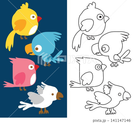 Vector cartoon of funny birds, coloring book or page for kids 141147146