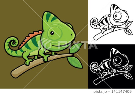 Funny chameleon on tree branches. Vector cartoon illustration in flat icon style Funny chameleon on tree branches. Vector cartoon illustration in flat icon style 141147409