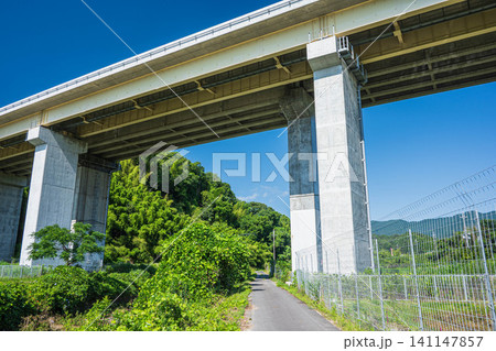 大津市仰木の田園地帯を通る国道161号線 滋賀県 大津市仰木の田園地帯を通る国道161号線 滋賀県 141147857