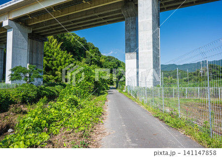 大津市仰木の田園地帯を通る国道161号線 滋賀県 大津市仰木の田園地帯を通る国道161号線 滋賀県 141147858