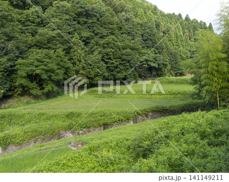 猪名川町柏原地区に広がる棚田の風景 猪名川町柏原地区に広がる棚田の風景 141149211