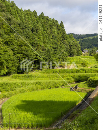 猪名川町柏原地区に広がる棚田の風景 猪名川町柏原地区に広がる棚田の風景 141149221