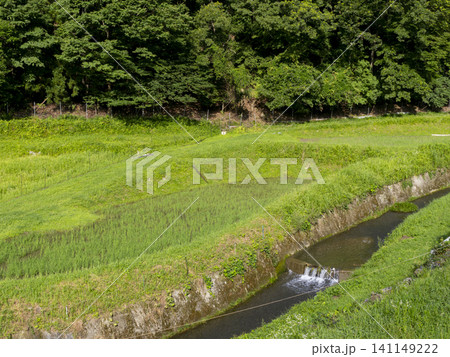 猪名川町柏原地区に広がる棚田の風景 猪名川町柏原地区に広がる棚田の風景 141149222
