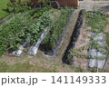 農家の家庭菜園 141149333