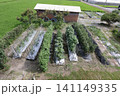 農家の家庭菜園 141149335