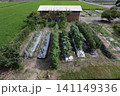農家の家庭菜園 141149336