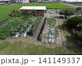 農家の家庭菜園 141149337