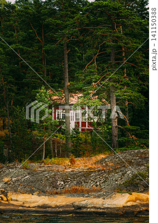 Hidden Red Wooden Cabin in a Finnish Pine Forest Hidden Red Wooden Cabin in a Finnish Pine Forest 141150388