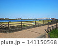 甲子園浜海浜公園（沖地区） 141150568