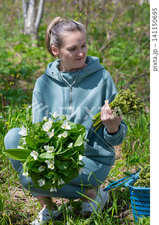 Female person crouching in green woodland holding bouquet of white trillium blooms and fresh fern fronds. Natural daylight highlights vibrant foliage calm outdoor activity Female person crouching in green woodland holding bouquet of white trillium blooms and fresh fern fronds. Natural daylight highlights vibrant foliage calm outdoor activity 141150695