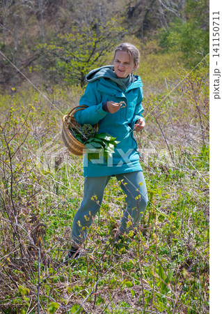 Woman in teal jacket walking through sunlit meadow holding basket of fresh ferns and wild garlic. Natural outdoor setting with green foliage dry grass Woman in teal jacket walking through sunlit meadow holding basket of fresh ferns and wild garlic. Natural outdoor setting with green foliage dry grass 141150711
