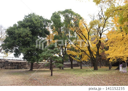 大阪城公園の秋の風景 大阪城公園の秋の風景 141152235