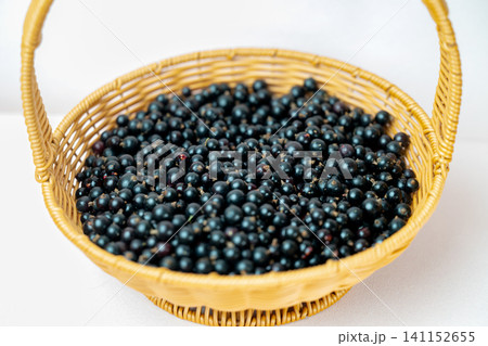 Ripe blackcurrants in wicker basket Ripe blackcurrants in wicker basket 141152655