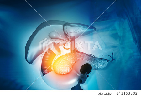 Anantomy of Liver  stomach  pancreas  gallbladder and spleen on medical background 141153302