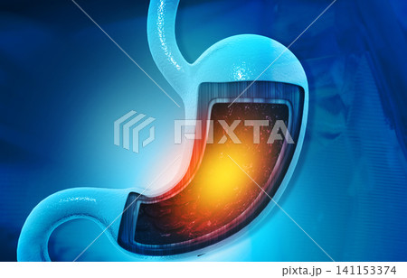 Cross section of human stomach diagram 141153374