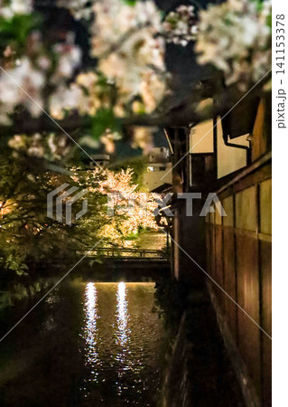 夜桜と祇園白川の町家 141153378