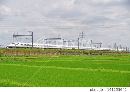 東海道新幹線　新横浜－小田原　JR東海　N700S系　J36編成（東京）　のぞみ　ひかり　こだま 141153642