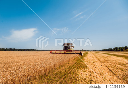 Combine harvester in action on wheat field. Process of gathering a ripe crop. Combine harvester in action on wheat field. Process of gathering a ripe crop. 141154189
