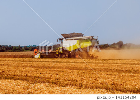 Combine harvester in action on wheat field. Process of gathering a ripe crop. Combine harvester in action on wheat field. Process of gathering a ripe crop. 141154204