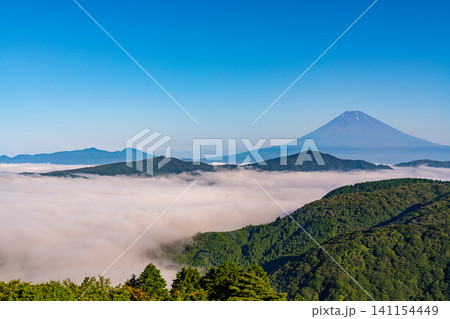 【神奈川県】箱根大観山から望む富士山　梅雨の晴れ間 141154449