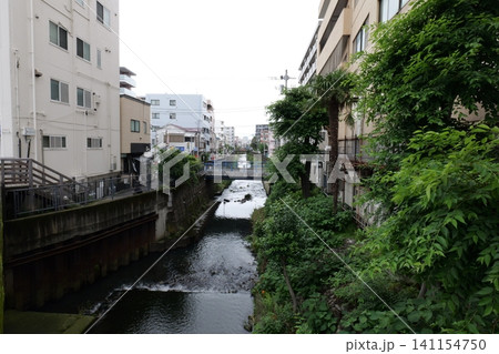 Japanese Residential Street with Modern Family Houses in Quiet Neighborhood 141154750