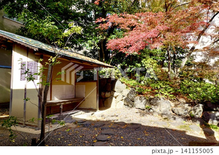 京都府立府民ホール　京都府公館　庭園・茶室の紅葉が見える風景　京都市上京区 141155005