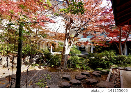 京都府立府民ホール 京都府公館 庭園・茶室の紅葉が見える風景 京都市上京区 京都府立府民ホール 京都府公館 庭園・茶室の紅葉が見える風景 京都市上京区 141155006