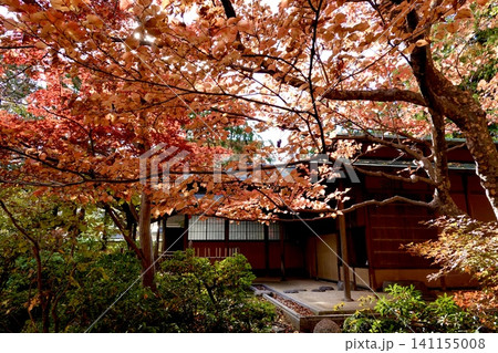 京都府立府民ホール 京都府公館 庭園・茶室の紅葉が見える風景 京都市上京区 京都府立府民ホール 京都府公館 庭園・茶室の紅葉が見える風景 京都市上京区 141155008