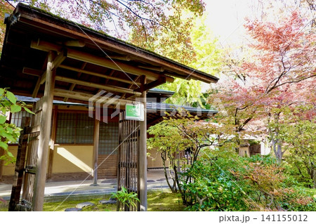 京都府立府民ホール 京都府公館 庭園・茶室の紅葉が見える風景 京都市上京区 京都府立府民ホール 京都府公館 庭園・茶室の紅葉が見える風景 京都市上京区 141155012
