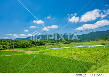 大津市仰木の棚田風景　滋賀県 141155420