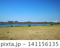 甲子園浜海浜公園（沖地区）の浜辺 141156135