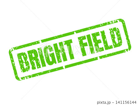 Bright Field green grunge stamp signifying clear possibilities and an open area for exploration Bright Field green grunge stamp signifying clear possibilities and an open area for exploration 141156144