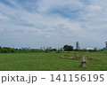 足立区都市農業公園からみた川口のタワマン 141156195
