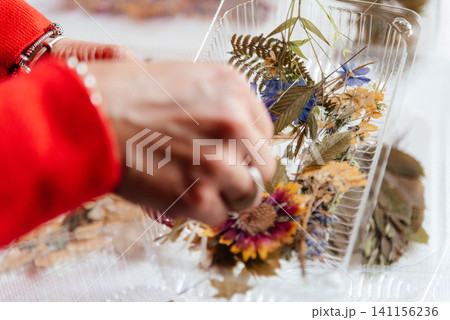Herbarium. Dried various flowers and leaves. A woman makes an applique of dried flowers. Herbarium. Dried various flowers and leaves. A woman makes an applique of dried flowers. 141156236