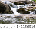 Mountain watercourse. Abundance of water, saving and use of water resources. 141156516