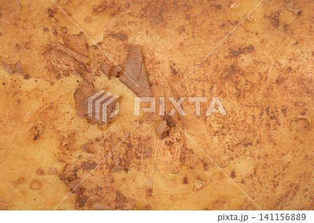 Raw Young Potato Peel Texture Background 141156889