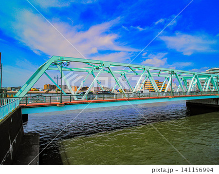 葛飾奥戸に流れる初夏の中川沿いの風景 葛飾奥戸に流れる初夏の中川沿いの風景 141156994