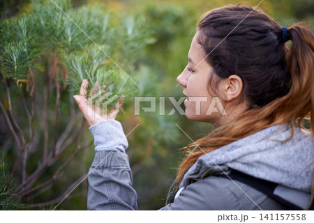 Hiking, woman and touch plants in nature on holiday, vacation or travel on adventure in winter. Trekking, bush and young person outdoor in environment for journey in the countryside, forest or woods Hiking, woman and touch plants in nature on holiday, vacation or travel on adventure in winter. Trekking, bush and young person outdoor in environment for journey in the countryside, forest or woods 141157558