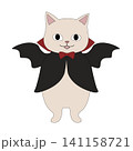 ハロウィンコスチュームを着たかわいいネコ 141158721