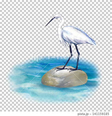 Hand-drawn watercolor white heron on rock in sea illustration on an isolated background. For summer vacation designs, marine-themed prints, greeting cards, and eco branding. Hand-drawn watercolor white heron on rock in sea illustration on an isolated background. For summer vacation designs, marine-themed prints, greeting cards, and eco branding. 141159185