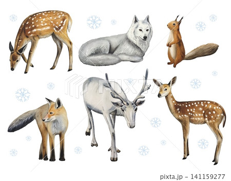 Hand drawn set of forest animals. Watercolor illustration. Hand drawn set of forest animals. Watercolor illustration. 141159277