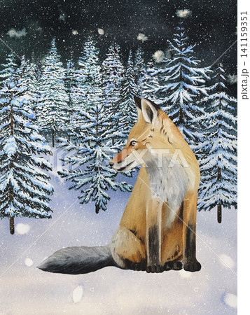 Hand drawn winter card featuring fox cub in a snowy forest with spruce trees. Watercolor illustration. 141159351