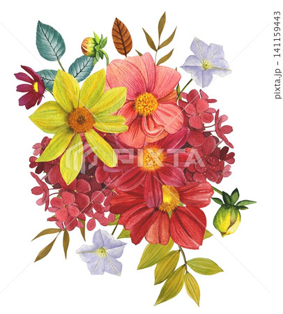 Red, pink, yellow dahlias. Arrangement of bright dahlias, leaves. Hand drawn watercolor illustration. Red, pink, yellow dahlias. Arrangement of bright dahlias, leaves. Hand drawn watercolor illustration. 141159443