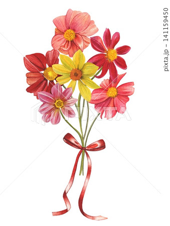 Red, pink, yellow dahlias. Arrangement of bright dahlias, leaves. Hand drawn watercolor illustration. Red, pink, yellow dahlias. Arrangement of bright dahlias, leaves. Hand drawn watercolor illustration. 141159450