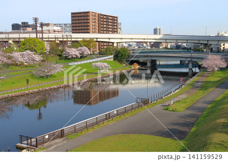 春の旧中川:もみじ大橋付近(東京都江戸川区/東大島) 春の旧中川:もみじ大橋付近(東京都江戸川区/東大島) 141159529