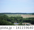 美瑛の田園風景 141159640