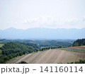 美瑛の田園風景 141160114